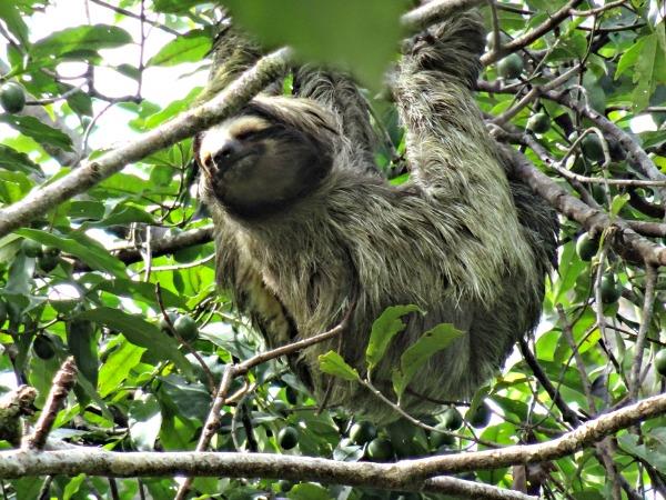 Costa Rica vacation, off the beaten track