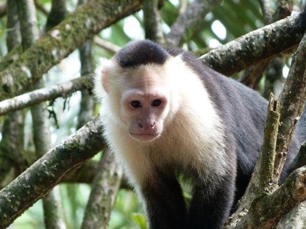 Costa Rica vacation, off the beaten track