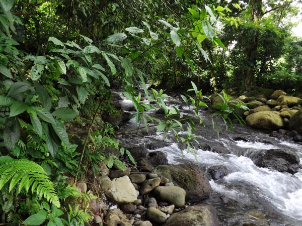 Costa Rica highlights vacation