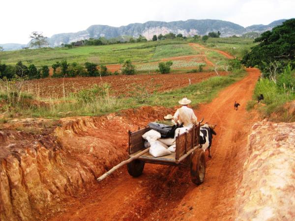 Cuba highlights vacation