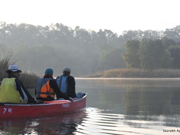 Satpura Reserve Tiger safari in india