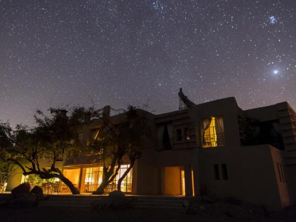 Highlights and nature tour in Jordan