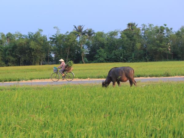 Vietnam 15 day itinerary