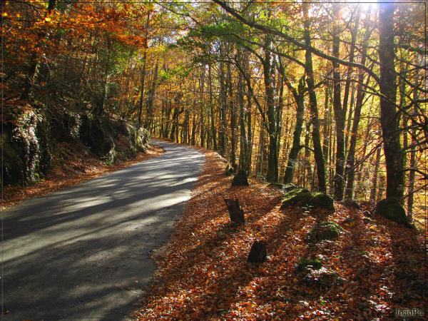 Family biking vacation in Portugal, 5 days