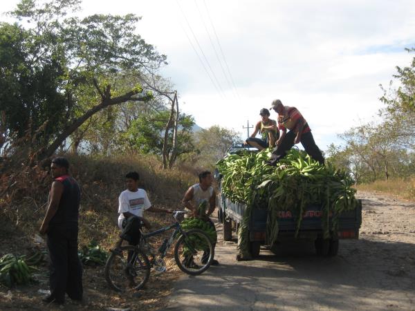 Nicaragua vacation, Cobbled Streets to Coral Reefs