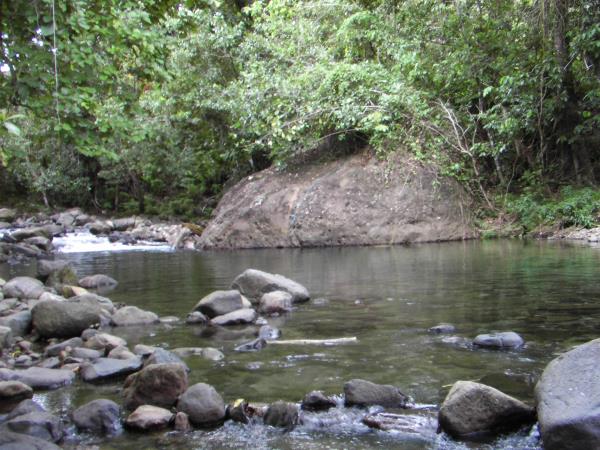 Dominica ecolodge vacation