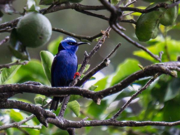 Costa Rica and Panama vacation