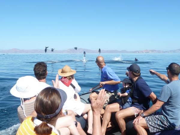 Baja & the Sea of Cortes adventure cruises, Mexico
