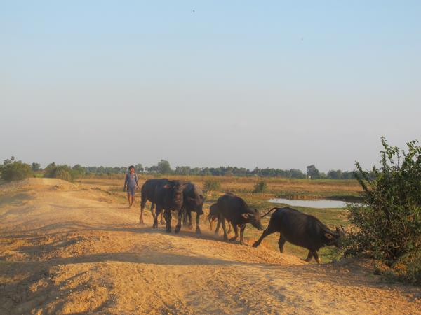 Cambodia vacation, ancient ruins and beaches