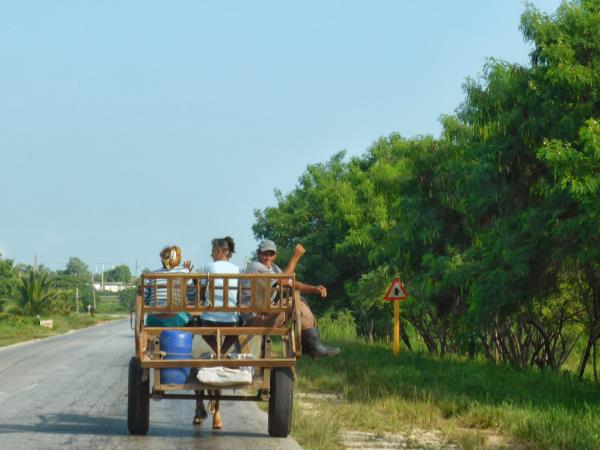 Cuba vacation, 22 days