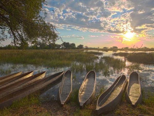 Botswana Fly-In Luxury Safari