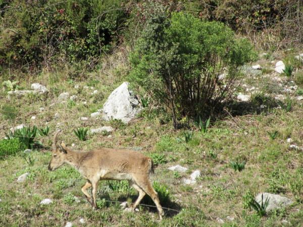 Walking vacation in Grazalema, Andalucia, Spain