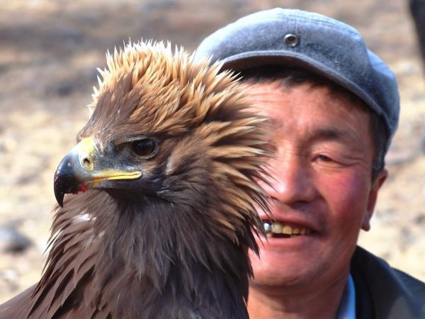 Western Mongolia tour, the Altai mountains & eagles