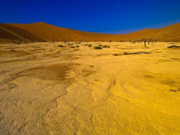 Namibia highlights tour