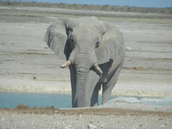 Namibia highlights tour