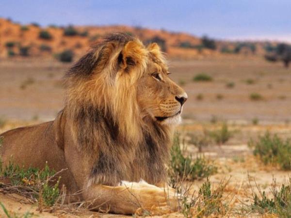 Namibia highlights tour