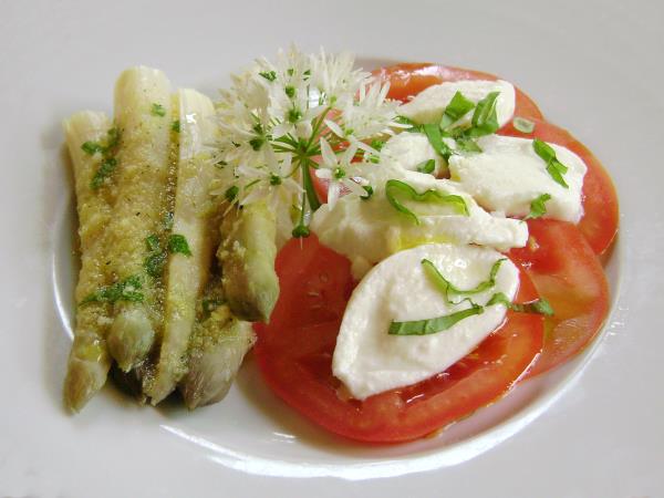Vegetarian vacations in France