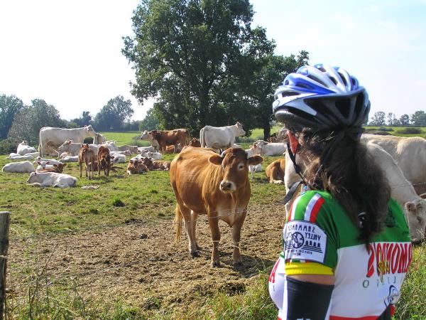 France self guided challenging cycling vacation