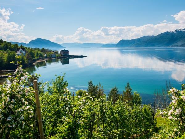 Norway self guided biking vacation, Hardangerfjord