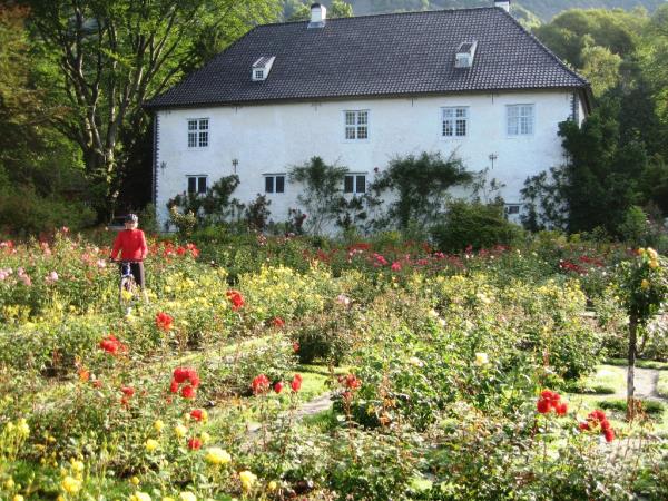 Fjords self guided cycling holiday in Norway