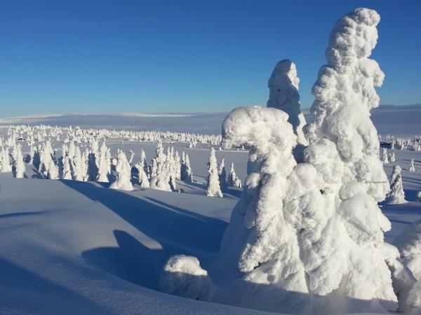 Norway cross country skiing vacation