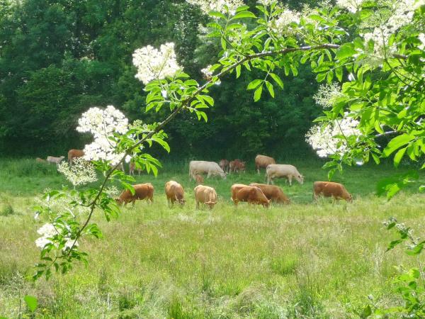 France wellbeing holiday