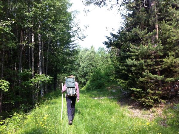 Hiking vacation in Norway, Dovrefjell National Park
