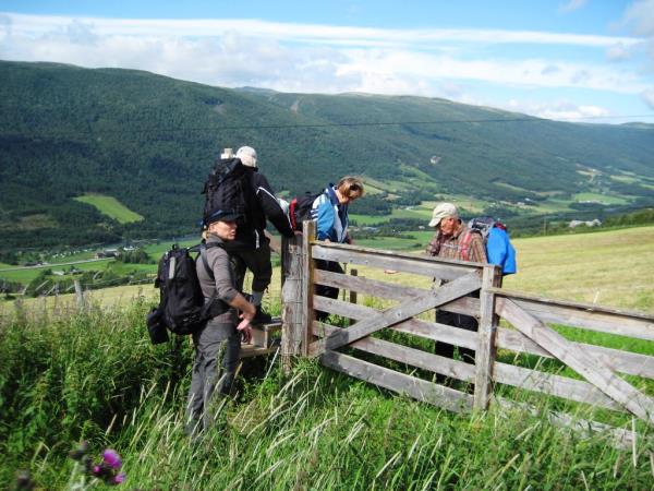 Hiking vacation in Norway, Dovrefjell National Park