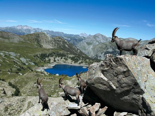 Mercantour hiking vacation in France