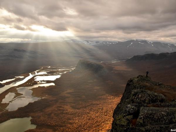 Sweden wildlife vacation, Moose expedition