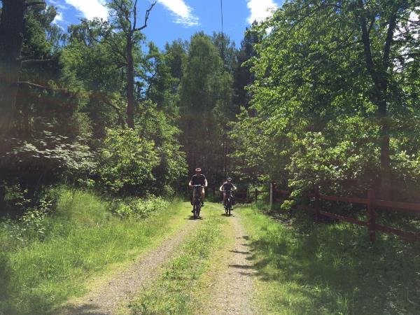 Sweden activity vacation, Stockholm countryside