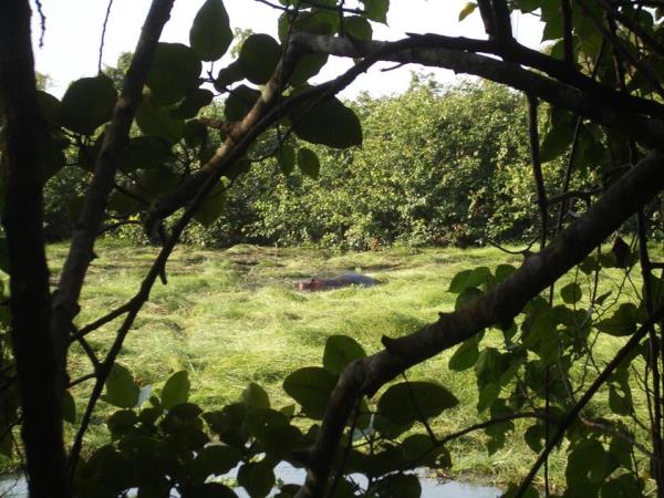 Guinea Bissau tours