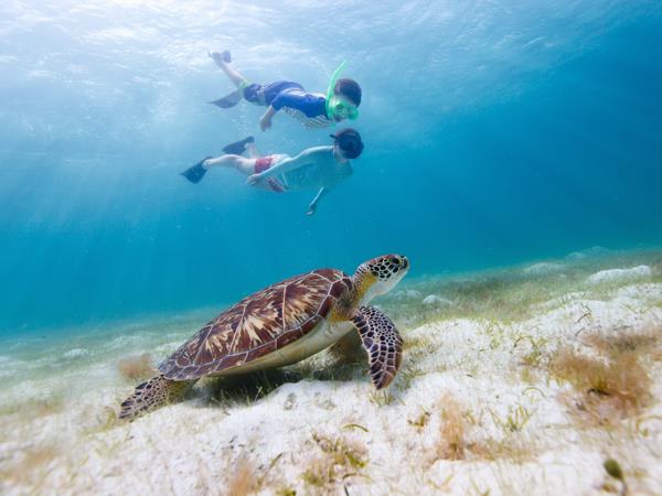Family vacation to Guatemala and Belize, temples and islands