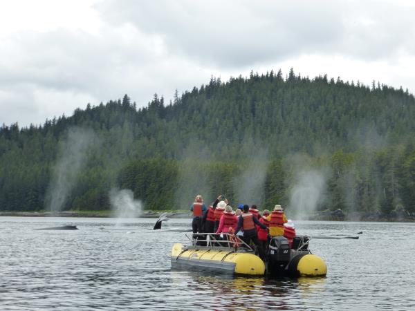 Inner Reaches Eastern Coves cruise in Alaska