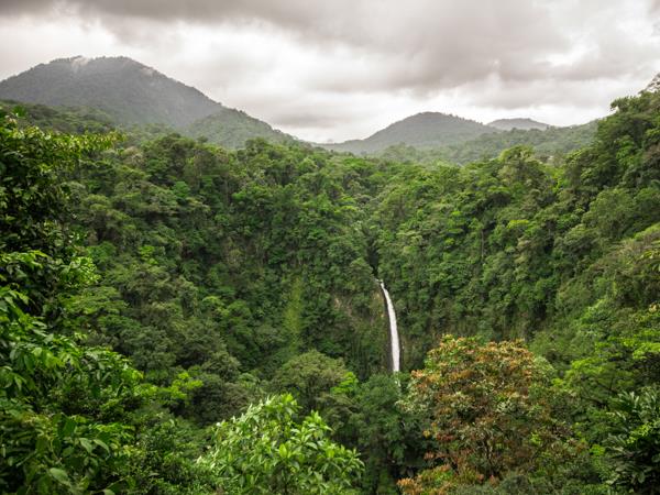 Costa Rica bespoke vacation, wildlife and volcanoes
