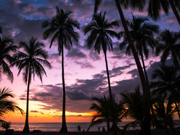 Costa Rica bespoke vacation, wildlife and volcanoes