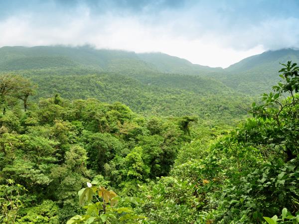 Costa Rica bespoke vacation, wildlife and volcanoes