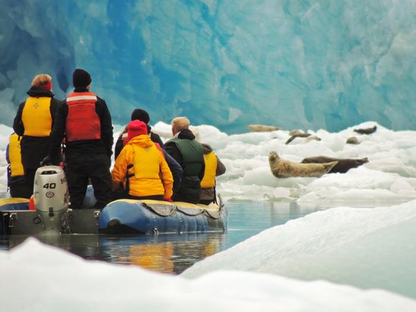 Alaska's Islands cruise, whales & glaciers