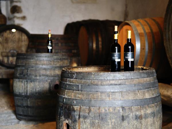 Slovenia food and wine tour