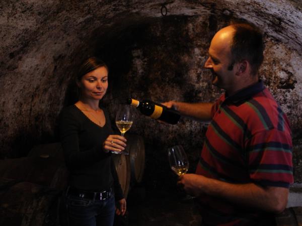 Slovenia food and wine tour