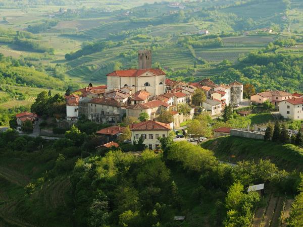 Slovenia food and wine tour
