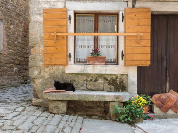 Slovenia food and wine tour