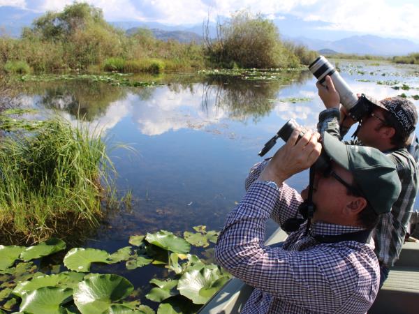 Montenegro bird watching vacation