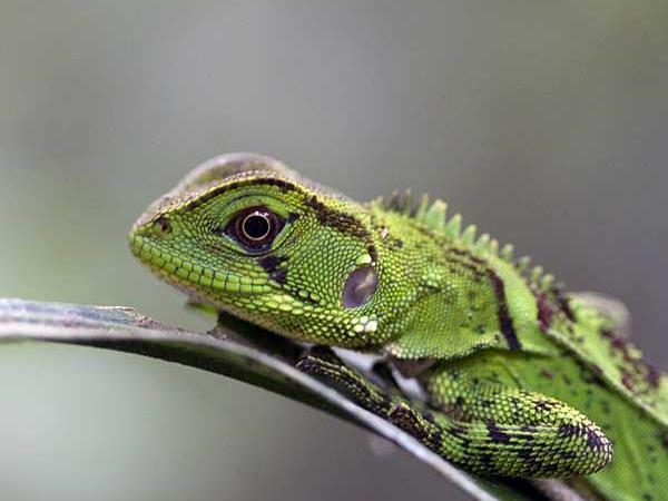 vacation in Ecuador, tailormade