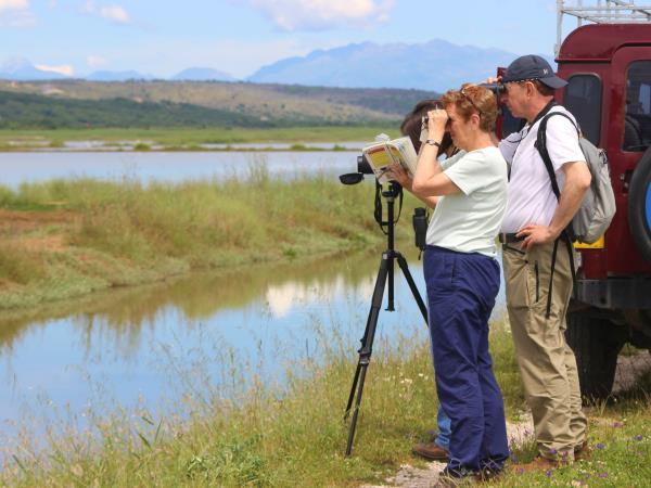 Montenegro bird watching vacation