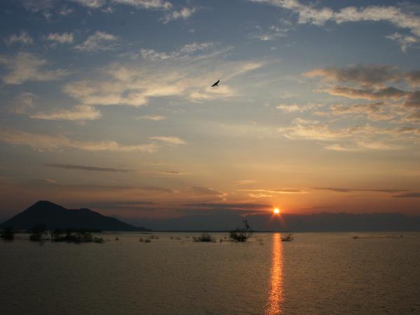 Montenegro bird watching vacation