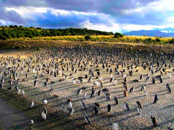 Patagonia wilderness vacation, journey to Ushuaia