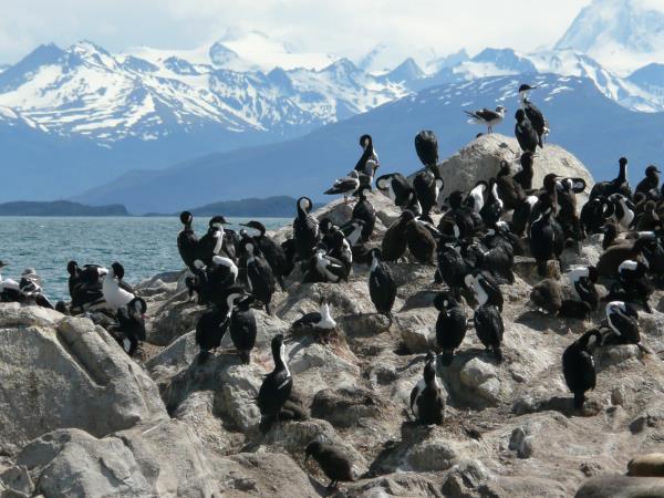 Patagonia wilderness vacation, journey to Ushuaia