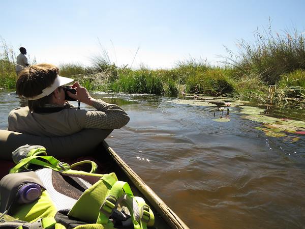 Botswana safari and wild camping