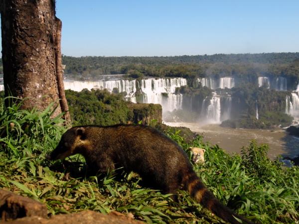 North East Argentina vacation